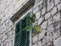 Makarska Altstadt