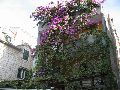 Makarska Altstadt